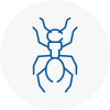 Ant Removals In Renfrewshire