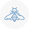 Bee Nest Removal Renfrewshire