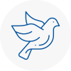 Bird Prevention Renfrewshire