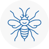 Renfrewshire Hornet Nest Removals