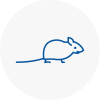 Mice Exterminators In Renfrewshire
