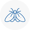 Moth Control Specialists In Renfrewshire
