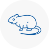 Rat Control Renfrewshire
