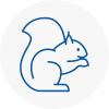 Renfrewshire Rodent Removals